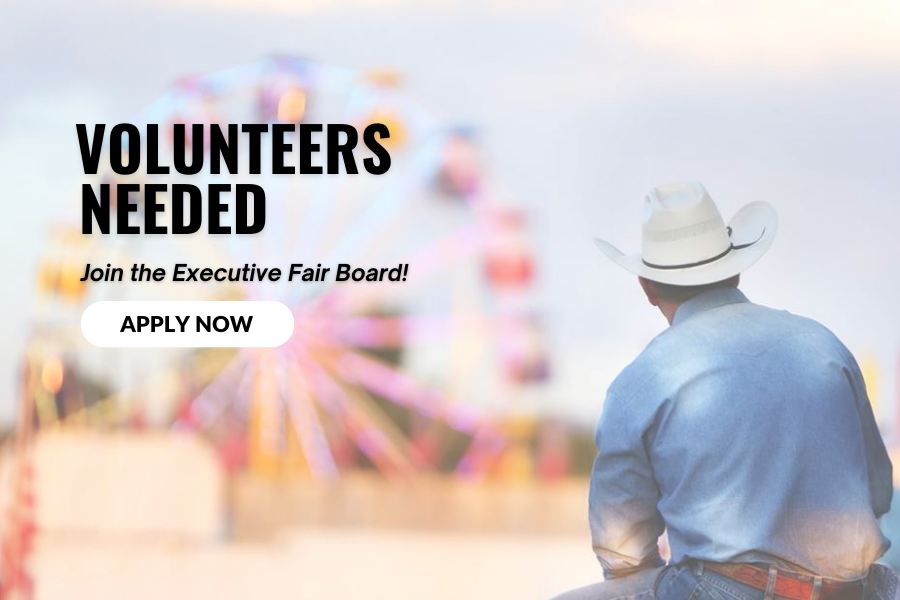 Back of man's head wearing cowboy hat in front of ferris wheel reading "VOLUNTEERS NEEDED".