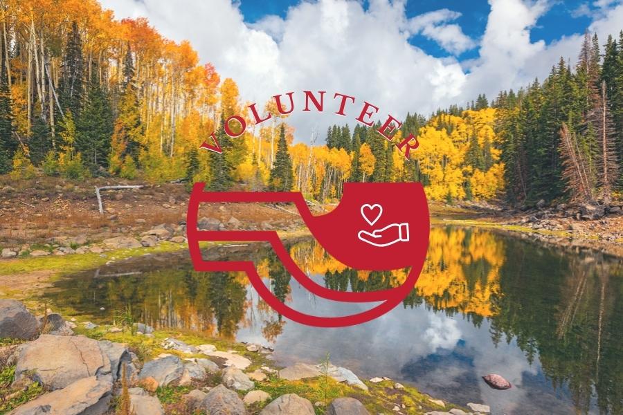 Colorado forest with trees with bright yellow leaves and a red Mesa County logo that reads, "volunteer."